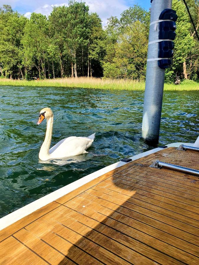 ホテル Luxusurlaub Auf Der Amavida Yacht / Scharmuetzelsee バート・ザーロー エクステリア 写真